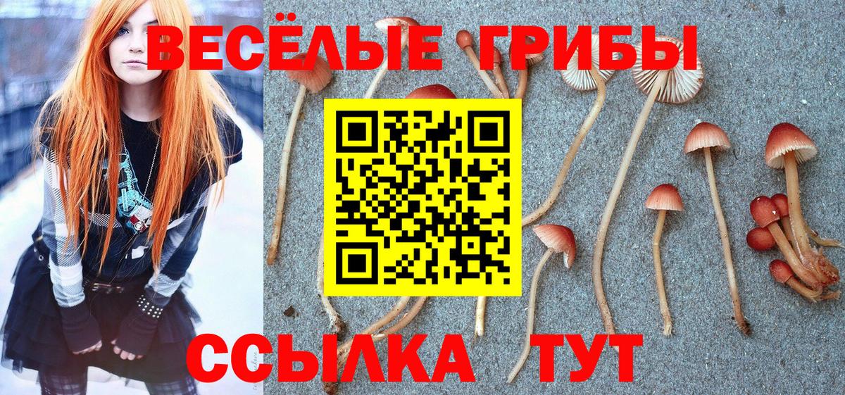 Псилоцибиновые грибы MAGIC MUSHROOMS Зеленогорск