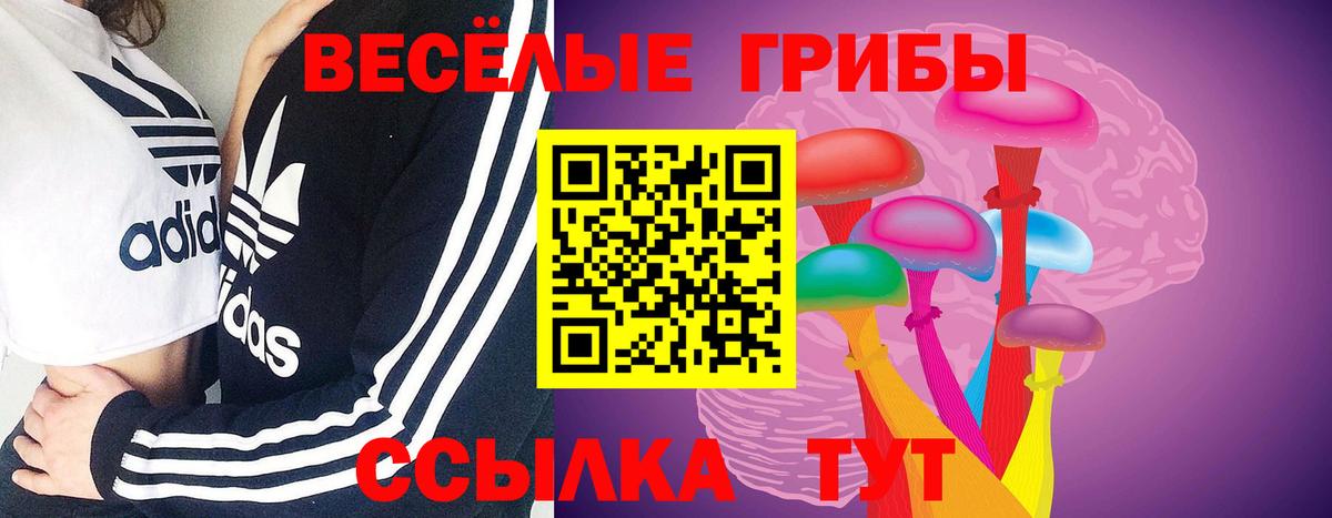 Зеленогорск  где можно купить наркотик  Вход с VPN  Псилоцибиновые грибы прущие грибы 